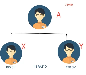 binary plan structure