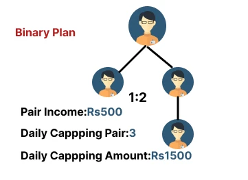 binary plan structure