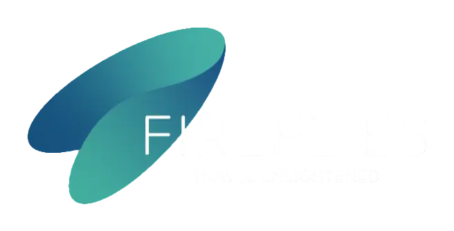 FireFlies Company logo