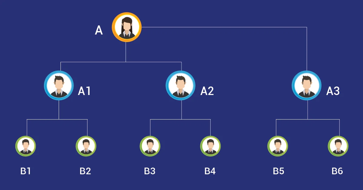 A Visual representation of Australian Binary MLM plan genealogy tree.