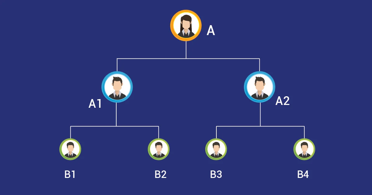 A Visual representation of a Binary MLM plan genealogy tree.