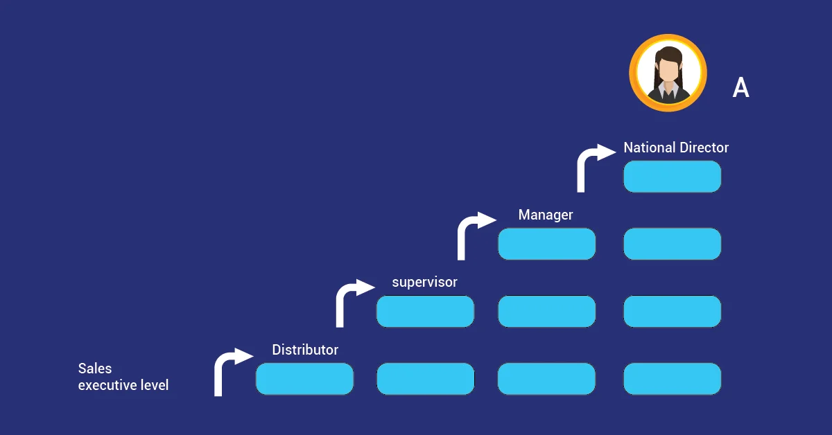 A Visual representation of Stair step MLM plan.