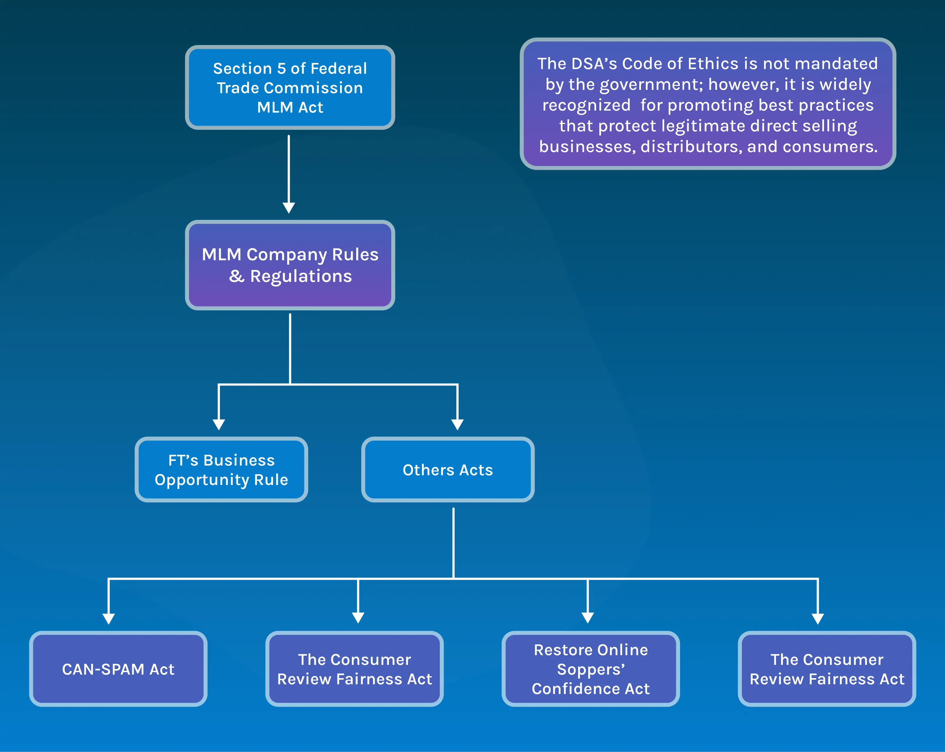 MLM Company Rules and Regulations You Must Follow